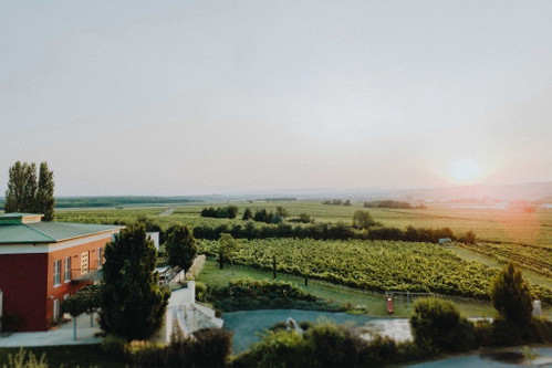 Das weite (Blaufränkisch-)Land: Bei K+K Kirnbauer lässt sich das Mittelburgenland in all seiner Schönheit erleben.