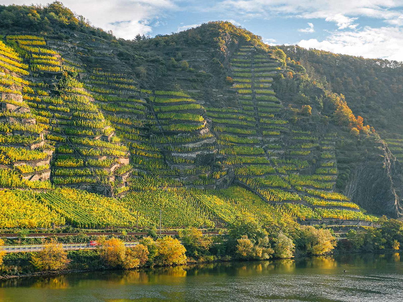 Nicht von ungefähr heißt dieser Flussabschnitt »Terrassenmosel«: In der Lage Uhlen bei Winningen werden Steigungen von 170 Prozent (60 Grad) erreicht.