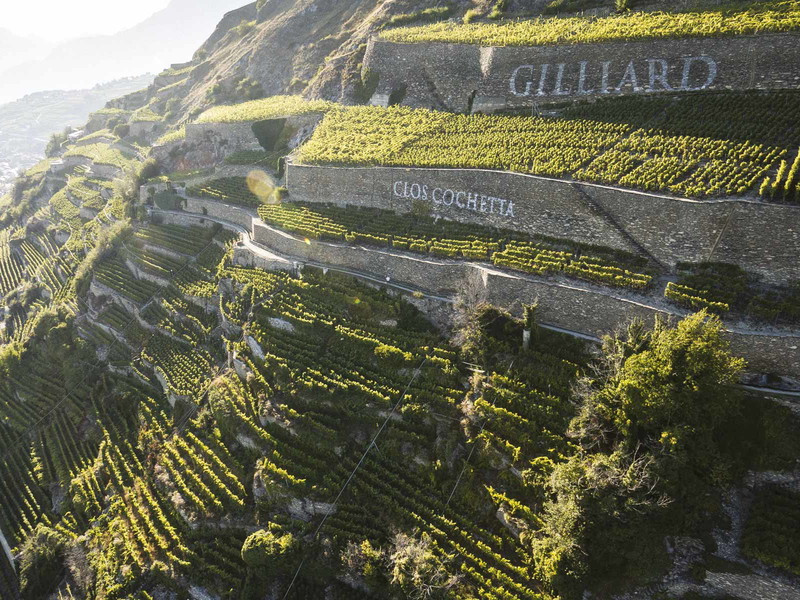 In den Hängen der Walliser Weinlandschaft entsteht der Fendant Les Murettes.