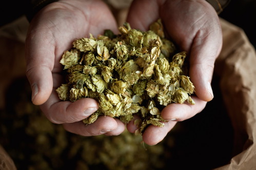 Alkoholfreies Bier ist normalerweise nicht ganz alkoholfrei. Bis zu 0,5 Volumenprozent darf es aufweisen.