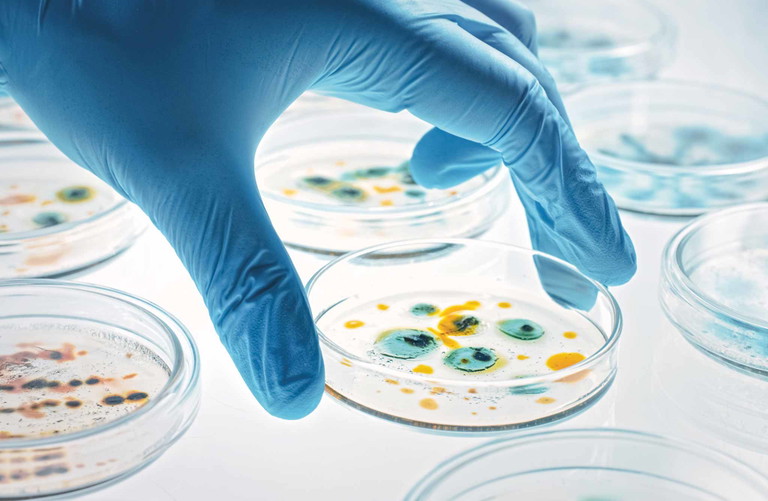Auf molekularer Ebene sind Pflanzen, deren Genom mit CRISPR-Cas9 bearbeitet wurde, von konventionell gezüchteten Pflanzen nicht mehr unterscheidbar. Kosten und Zeitaufwand sind dabei geringer als bei der herkömmlichen Pflanzenzucht.