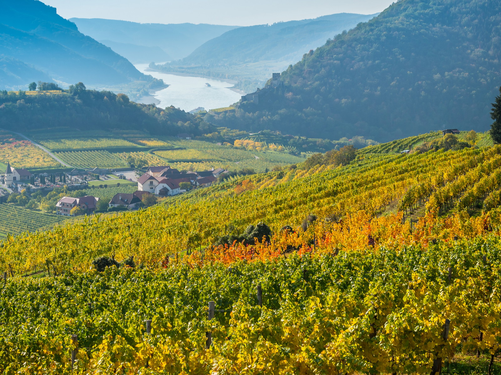 100 Red Wine Icons: Spain, Portugal, Germany &amp; Alps&nbsp;