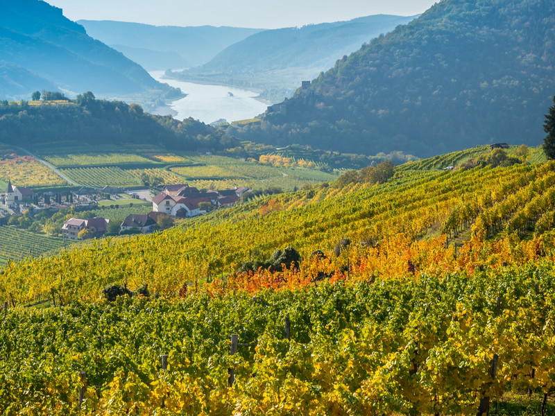 100 Red Wine Icons: Spain, Portugal, Germany &amp; Alps&nbsp;