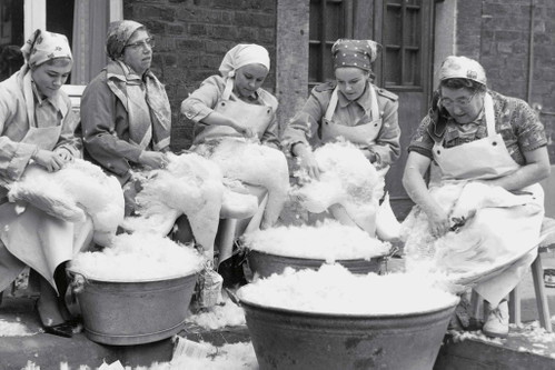 Das Federnschleißen war einst ein vergnüglicher Zeitvertreib der Frauen. Als Mitgift brauchte man vier Pölster und zwei Tuchenten, da war viel zu tun, Gesang und Dorfklatsch inklusive.