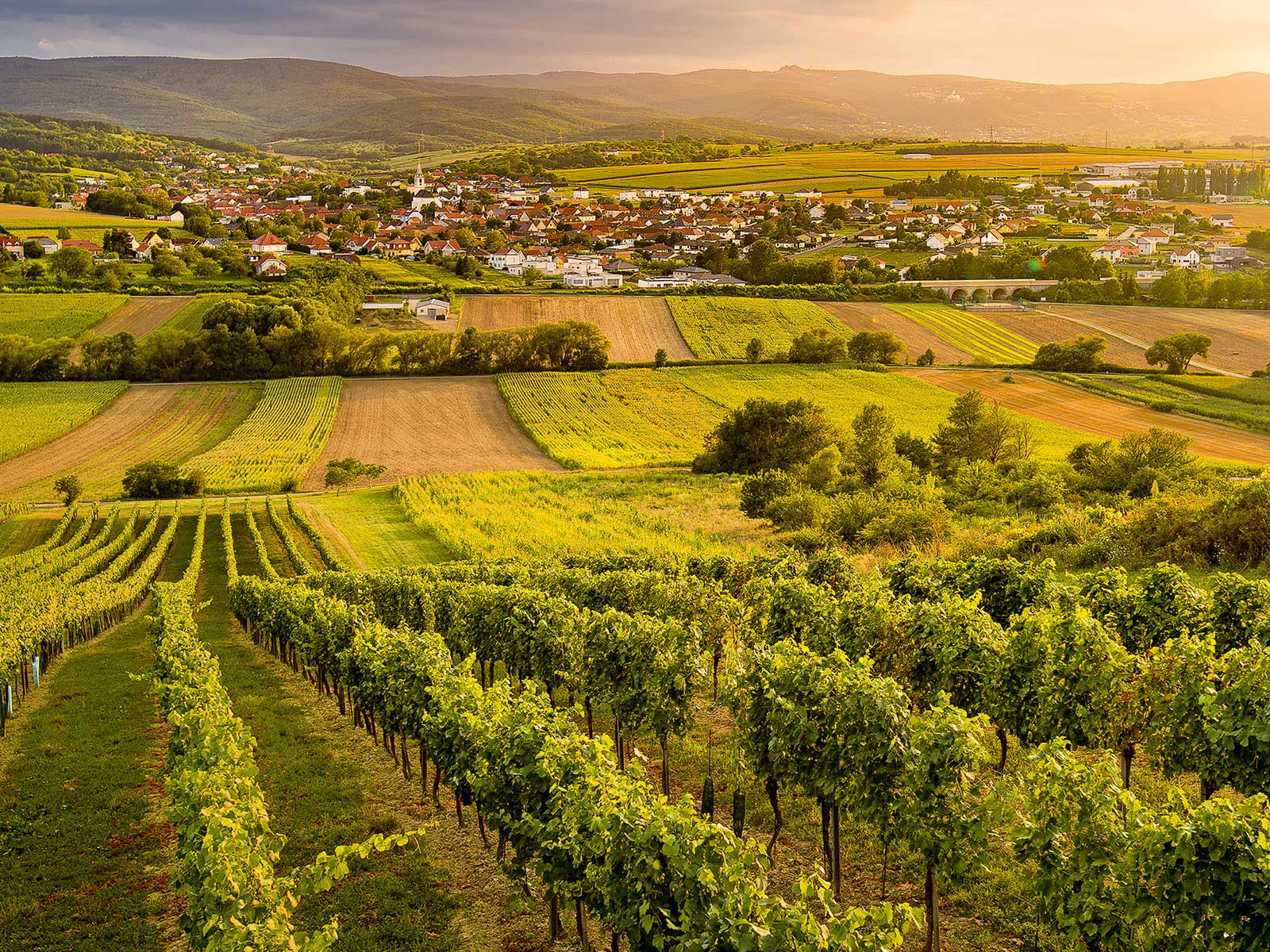Die Region Rosalia DAC bietet Abwechslung zu den klassischen Ausflugsgegenden und hat auch kulturell einiges zu bieten.&nbsp;