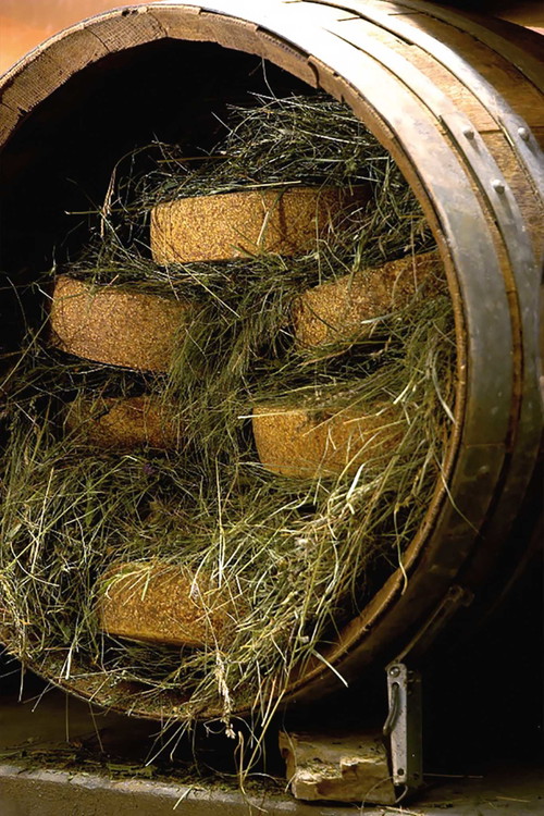 Gereifte Käsespezialitäten von Hansi Baumgartner in Südtirol.