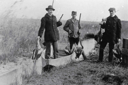 Gänse haben eine lange Tradition in der burgenländi-schen Küche. Heute werden sie als Weidegänse gezüchtet, einst auch gejagt.