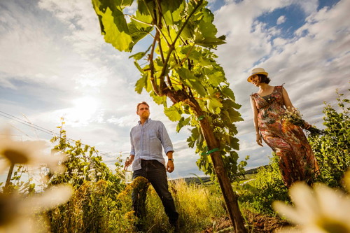 Markus Altenburger aus Jois ist einer jener Burgenland-Stars, die vom Londoner »Newcomer Wines« aus in Spitzenlokale wie den »Clove Club« geliefert werden.