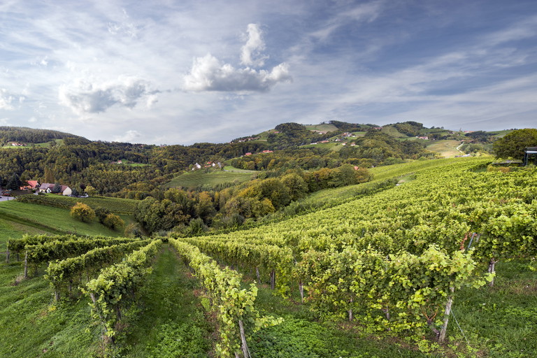 Steiermark: Aromatic Heights