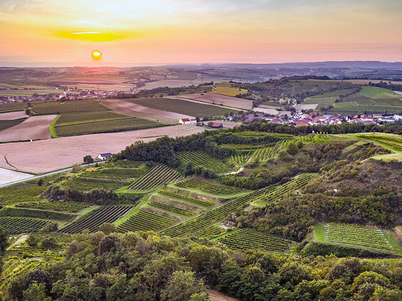Blick auf Wagramer Rieden