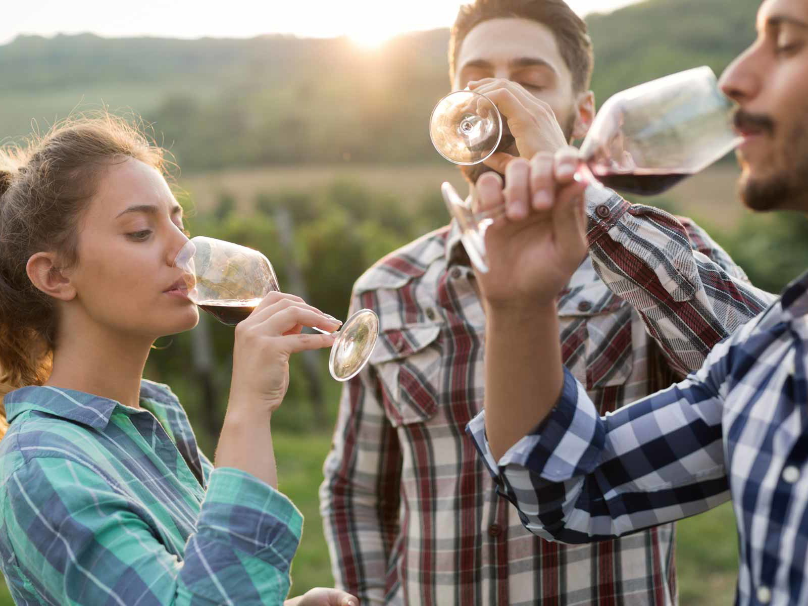Who has the better ability to distinguish a good wine from a bad one?