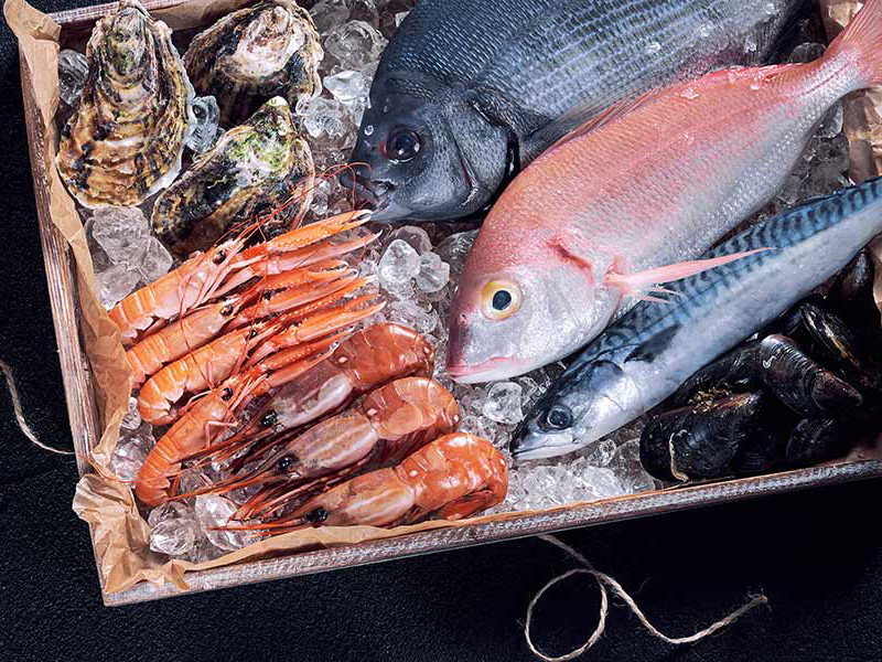 Gesund und köstlich: Fisch und Meeresfrüchte