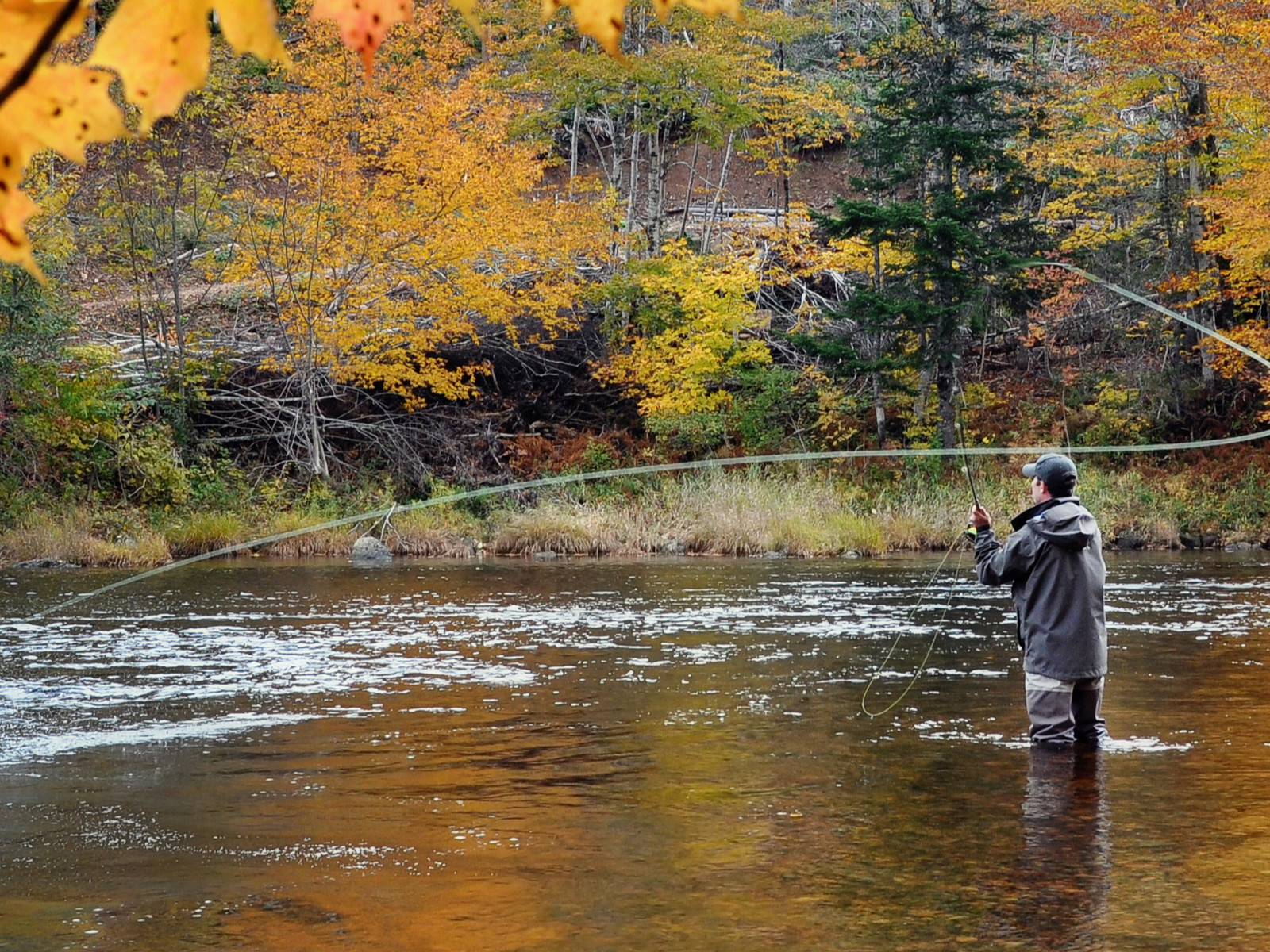 Catching your own&nbsp;fish&nbsp;will give you a great sense of accomplishment.&nbsp;