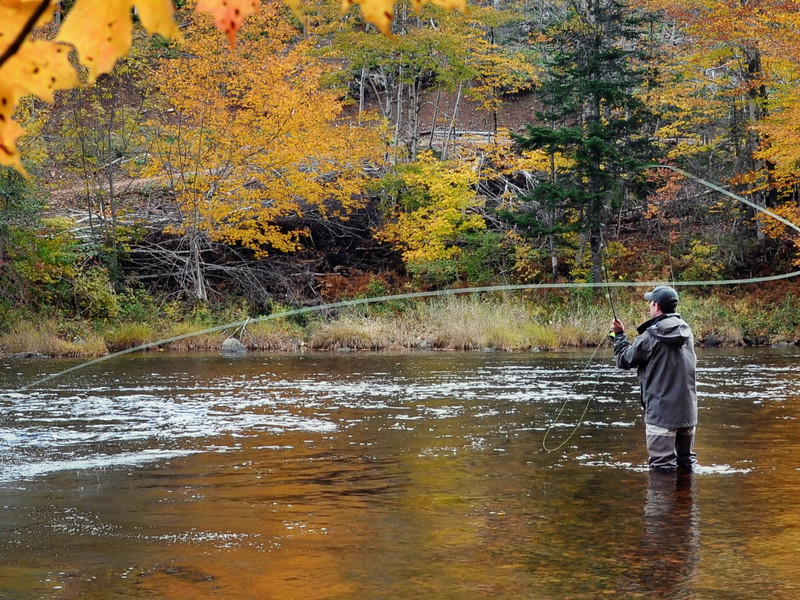 Catching your own&nbsp;fish&nbsp;will give you a great sense of accomplishment.&nbsp;