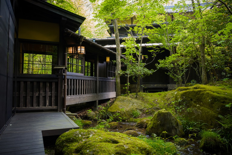 A calming, green ryokan garden.