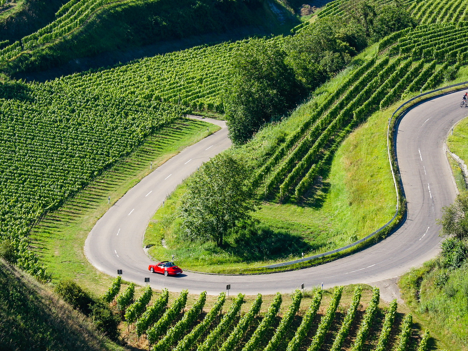 Travelling through beautiful vineyards&nbsp;