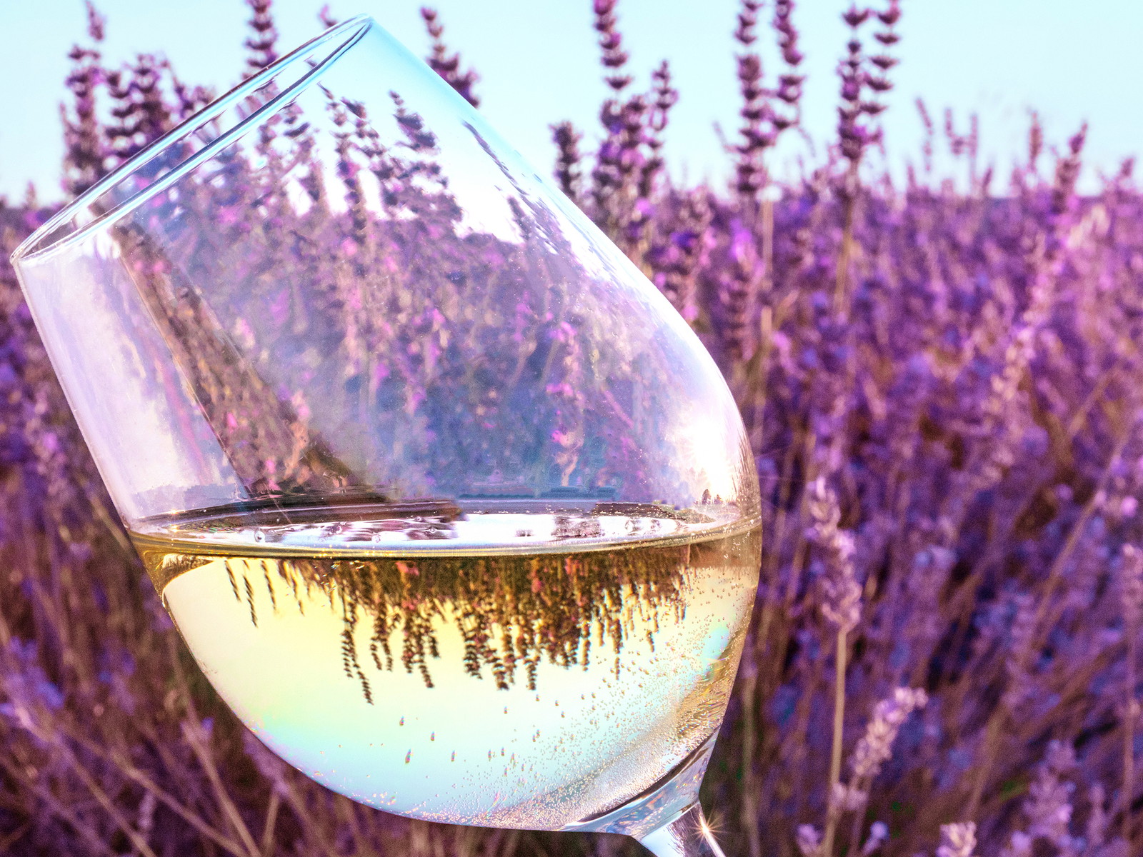 Wonderful&nbsp;white wines are often underestimated or simply too unknown