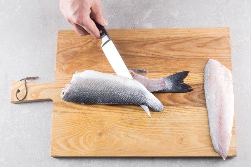 Fisch wenden und das zweite Filet in derselben Weise von der Mittelgräte trennen. Dabei von der Schwanzseite her arbeiten und das Filet sauber abtrennen. Die Bauch-Gräten werden mittels Fischpinzette aus den fertig portionierten Filets gezupft.