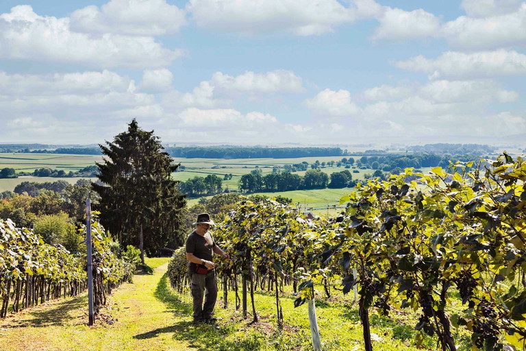 Weinland: Eine neue Winzergeneration hat das Land geprägt und verändert.