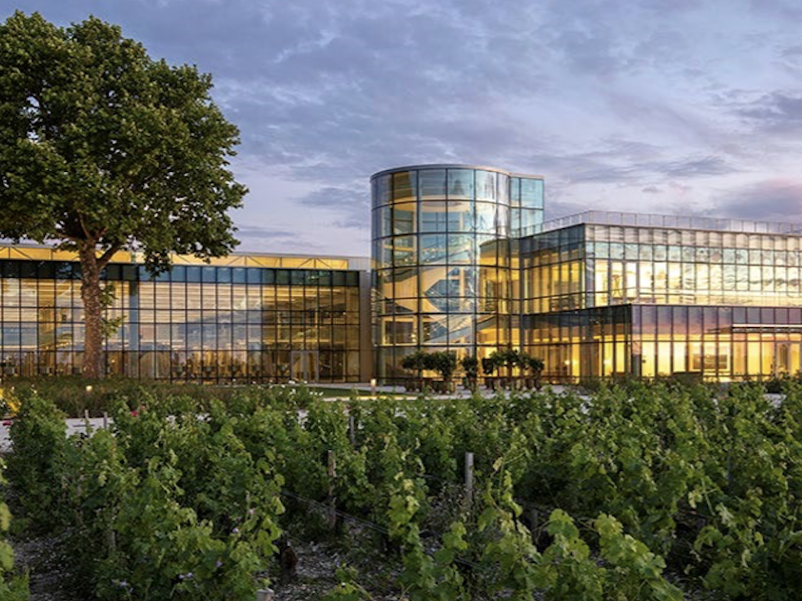 Château Lynch-Bages, a Pauillac Grand Cru Classé&nbsp;owned by the Cazes family since 1939