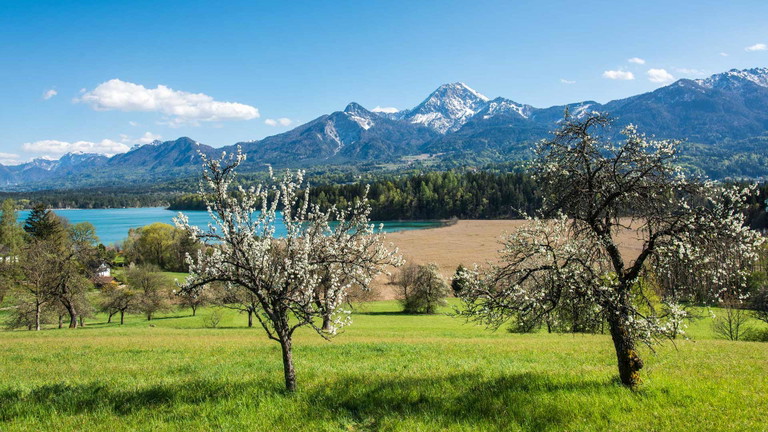 Frühling am Faaker See