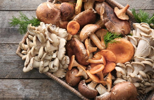 Umami wurde 1908 vom japanischen Forscher Kikunae Ikeda als eigenständige Geschmacksqualität identifiziert. Wörtlich lässt sich das mit fleischig, herzhaft oder wohlschmeckend übersetzen – ein vollmundiger Geschmack, wie er etwa typisch für Pilze ist.