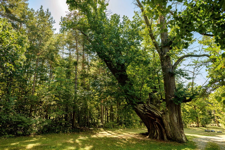Kraftplatz Liebing: Naturwunder, Historie, Bedenkens- und Gedenkenswertes. Kaum ein Bundesland hält so viele Überraschungen parat.