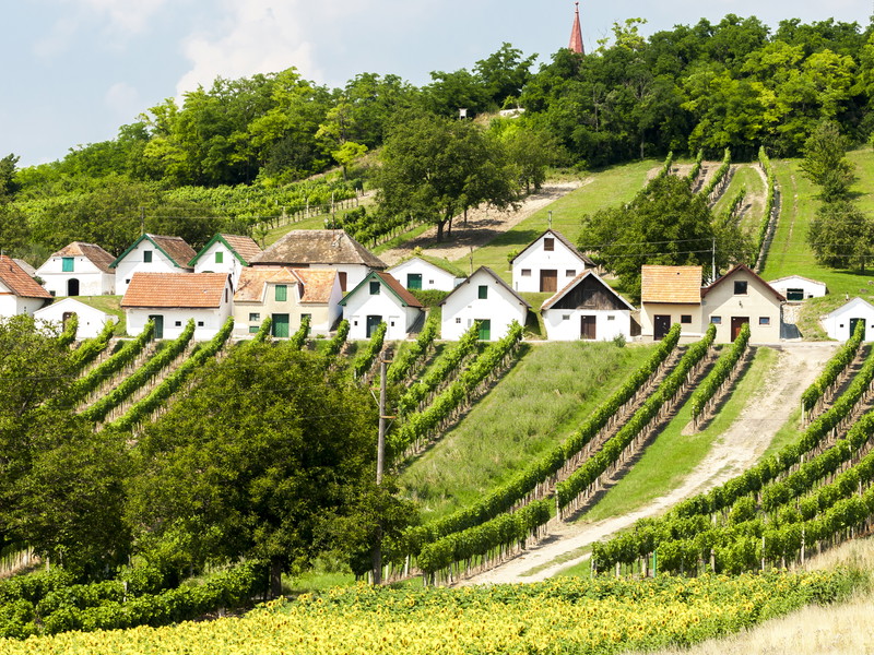 Traditional cellar buildings in Niederösterreich,&nbsp;Austria.