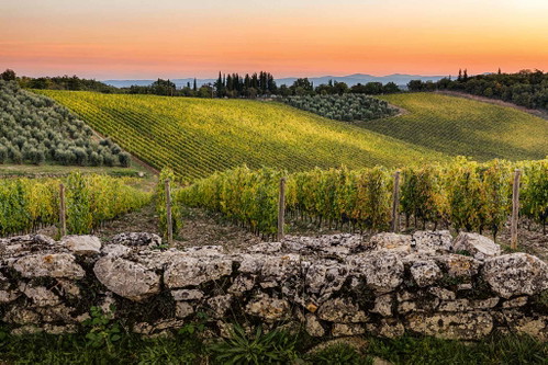 Bellavista von Castello di Ama