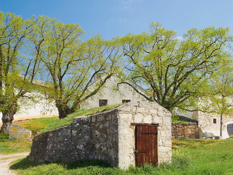 Dort, wo das Glück unserer Träume greifbar ist, liegen die Orte unserer Sehnsucht. Das kann eine Kellergasse sein, ein stilles Dorf oder eine weite Landschaft.