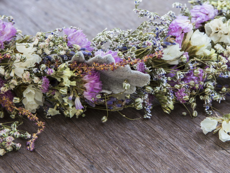 The poet sent his love Celia a "rosy wreath".