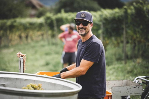 Das Weingut Andrey Schafis