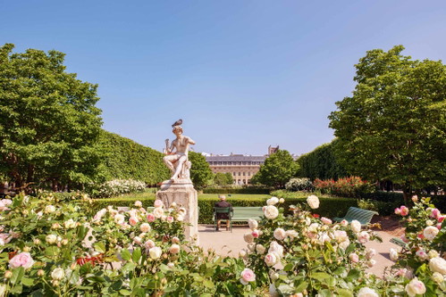 Wenige Schritte neben dem Louvre und seiner Glaspyramide wird rund um das Palais Royal und den Rosengarten den Aromen gehuldigt.