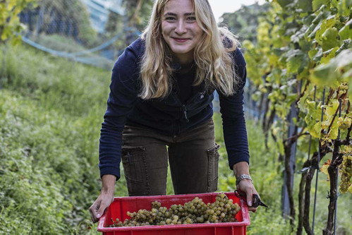 Das Weingut Rebhalde