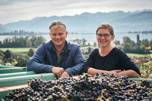 Das Weingut Schwarzenbach am Zürichsee