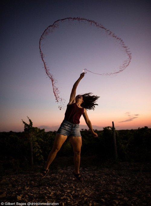 Never waste wine&nbsp;by Gilbert Bages