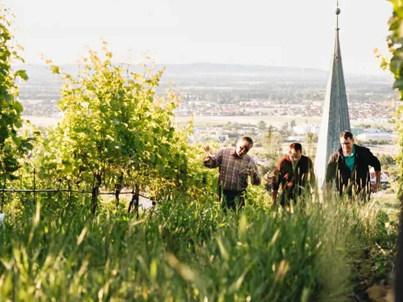Das Weingut bei Tattendorf wird in vierter Generation geführt.
