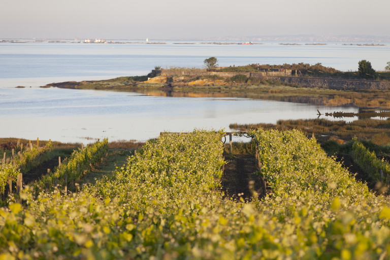 Rias Baixas