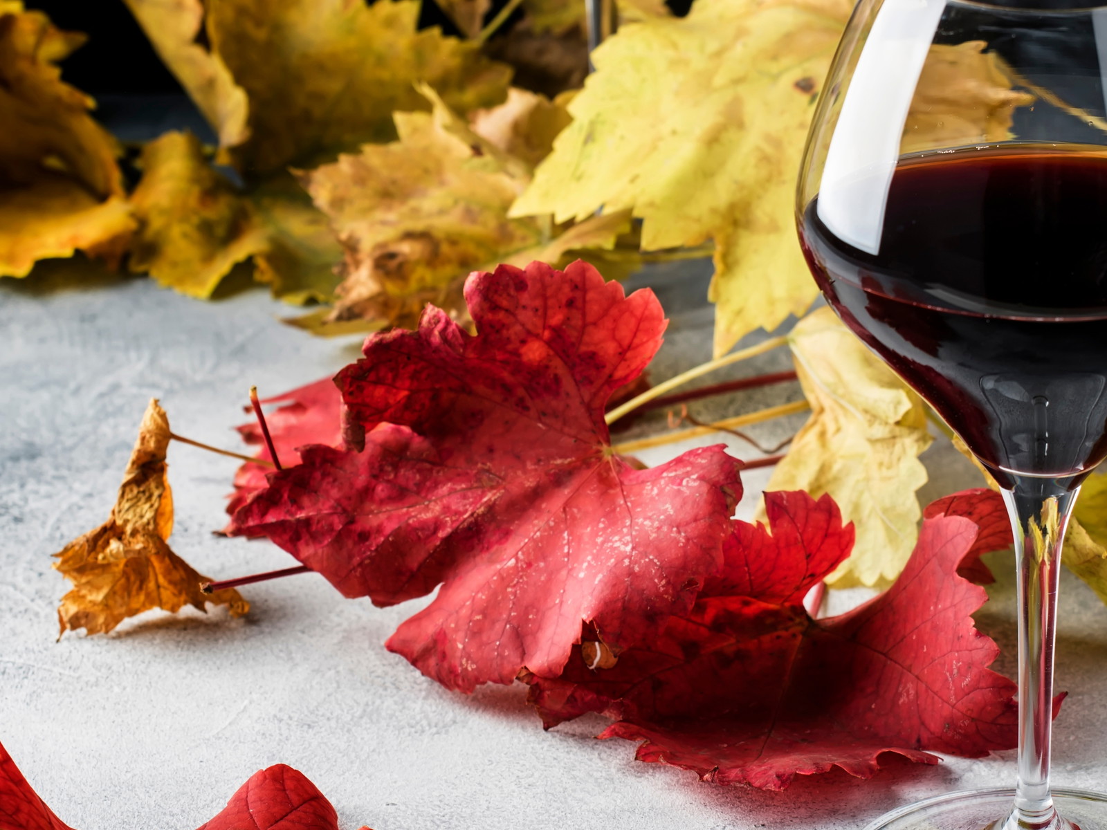 Rioja is one of the world’s most loved wines.&nbsp;