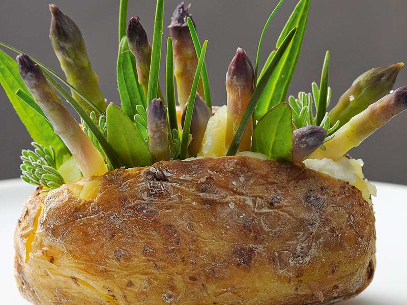 «Salzkartoffel», Wilder Spargel, Ziegenbutter-Hollandaise