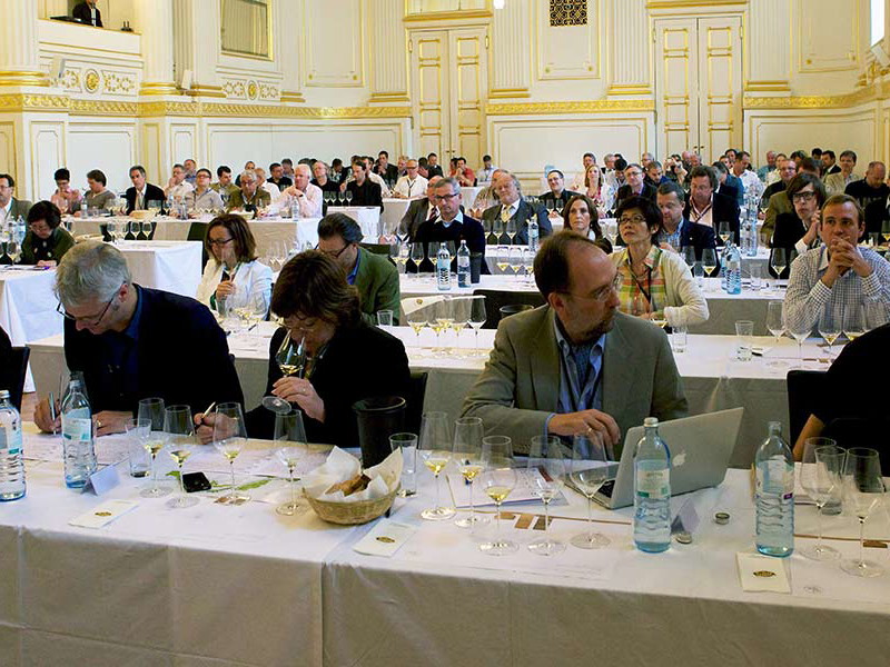 Die Vinea Wachau lädt am Samstag zum Riesling-Vergleich