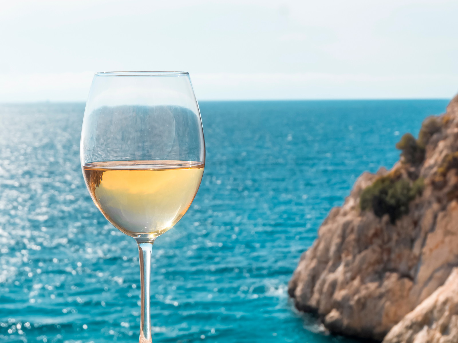 Chardonnay&nbsp;is one of the most widely planted&nbsp;white&nbsp;grape varieties.&nbsp;