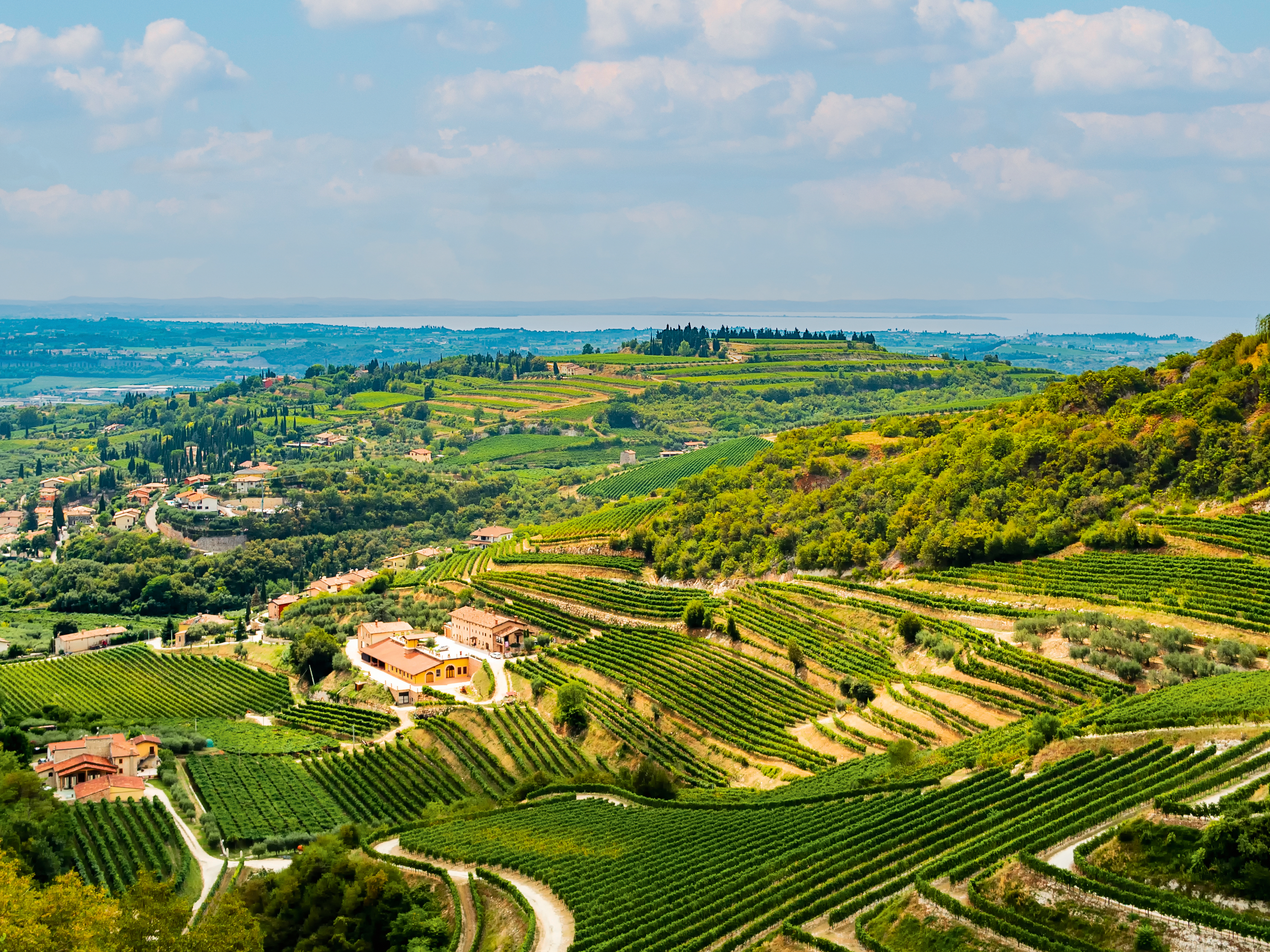 Idyllische Lage: Eingebettet zwischen Voralpen und Gardasee liegt das Valpolicella mit seinen Weinbergen.