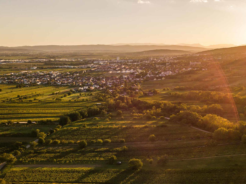 Das Burgenland bringt hochkarätige Weine hervor