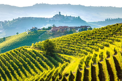Das Weingut Prunotto