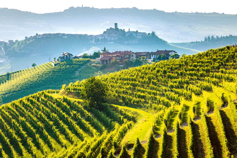 Das Weingut Prunotto