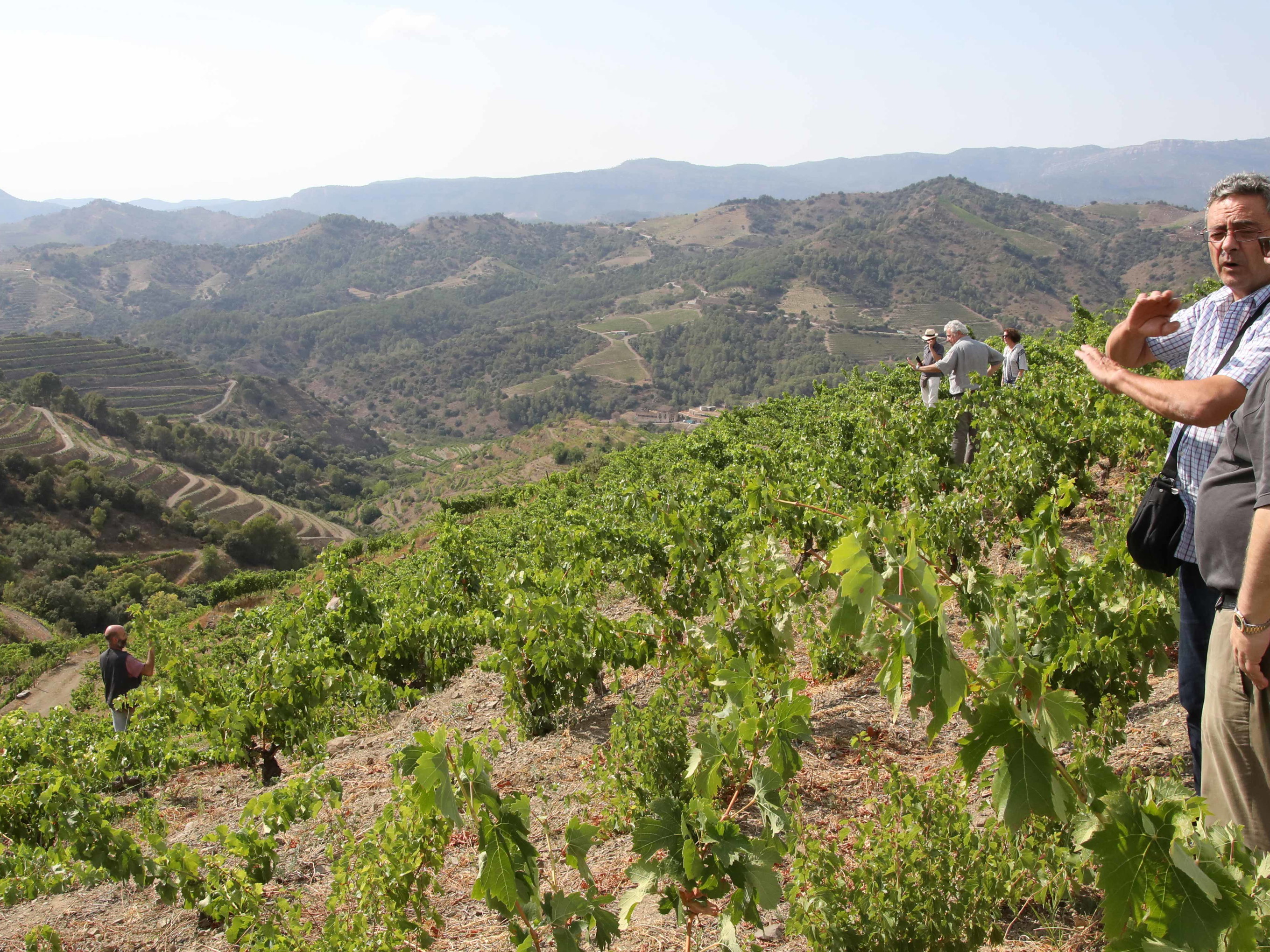Philipp Schwander auf seinem Weinberg im&nbsp;spanischen&nbsp;Priorat.