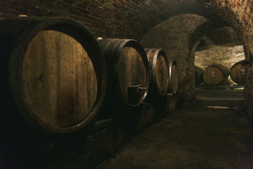 Neben ihren eleganten Weißweinen und raren Schaumweinen kultivieren die Ebner-Ebenauers auch feine Rote wie St.Laurent und Pinot Noir.