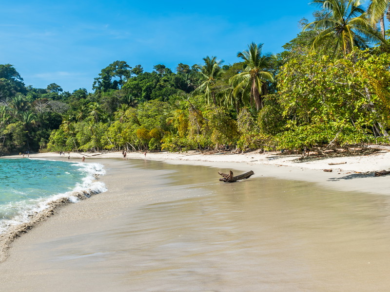 Tripadvisor's top hotel is located in a stunning&nbsp;reserve in Costa Rica.