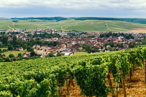 Umgeben von einem Rebenmeer: Der Ort Chablis ist das weinbauliche Zentrum von Nordburgund.